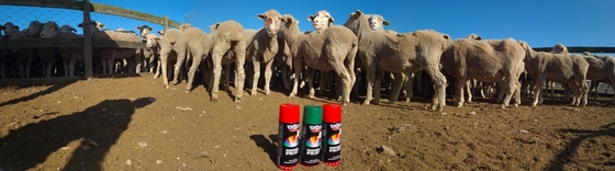 500ml Sơn đánh dấu cừu Plyfit Thân thiện với môi trường Màu sắc đuôi động vật Đánh dấu động vật Sơn phun