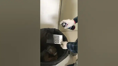 Sơn phun acrylic dùng trong nhà & ngoài trời thay đổi nhiệt độ ứng dụng